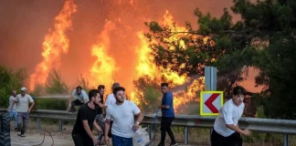 Türkiye yanıyor! Bursa’da 3 mahalle boşaltıldı. Bir itfaiye eri kalp krizi geçirerek hayatını kaybetti.