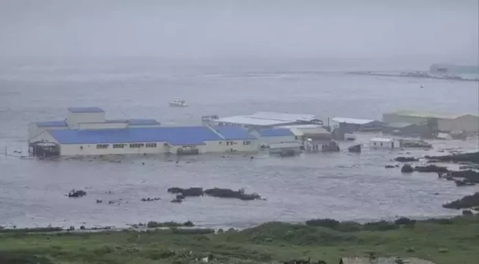 Rusya’nın Kamçatka açıklarındaki 8,8 büyüklüğündeki depremin tsunamisi Hawaii’yi etkilemeye başladı.