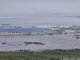 Rusya’nın Kamçatka açıklarındaki 8,8 büyüklüğündeki depremin tsunamisi Hawaii’yi etkilemeye başladı.