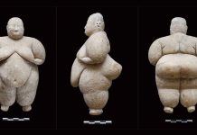 Antik DNA Analizleri ortaya koydu: Çatalhöyük, anaerkil bir toplumdu! Kadınlar ve kız çocukları, toplumun temel figürleriydi.