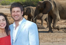 Trajedi; CEO’su olduğu özel yaşam alanındaki fil saldırısıyla hayatını kaybetti