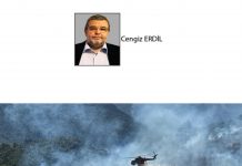 Cengiz ERDİL; TÜRKİYE’NİN ORMAN YANGINLARI KARNESİ