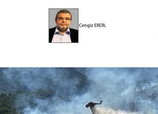 Cengiz ERDİL; TÜRKİYE’NİN ORMAN YANGINLARI KARNESİ