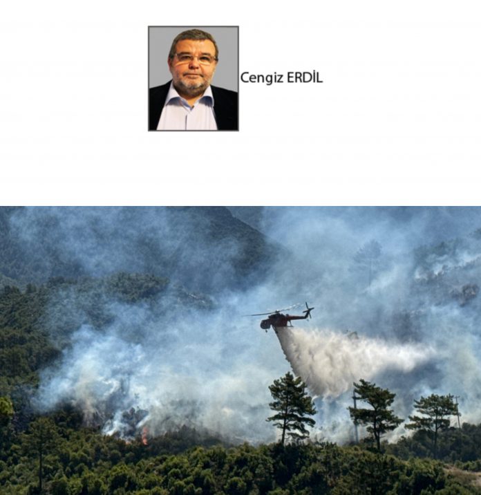 InShot_20250712_175603700