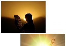 Avrupa’da sıcaklar yüzünden 2,000’den fazla can kaybı oldu. Küresel ısınma kritik seviyeyi de aştı. Sıcaklıklar İstanbul’da da rekor kırdı