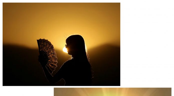 Avrupa’da sıcaklar yüzünden 2,000’den fazla can kaybı oldu. Küresel ısınma kritik seviyeyi de aştı. Sıcaklıklar İstanbul’da da rekor kırdı