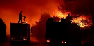 İzmir Çeşme’deki orman yangını kontrol altına alındı.