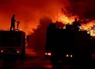 İzmir Çeşme’deki orman yangını kontrol altına alındı.