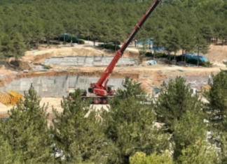 Lojman için yüzlerce ağacı katlettiler. Bunu orman müdürlüğü yaparsa…
