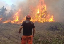 AK Partili Hatipoğlu: Eskişehir’deki orman yangınında 5 orman çalışanı ve 5 AKUT mensubu şehit oldu