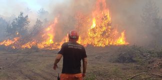 AK Partili Hatipoğlu: Eskişehir’deki orman yangınında 5 orman çalışanı ve 5 AKUT mensubu şehit oldu