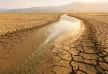 BM raporu: Türkiye’nin yüzde 88’i çölleşme riskiyle karşı karşıya; 2030’da ciddi bir kuraklıkla karşı karşıya kalınabilir