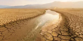 BM raporu: Türkiye’nin yüzde 88’i çölleşme riskiyle karşı karşıya; 2030’da ciddi bir kuraklıkla karşı karşıya kalınabilir