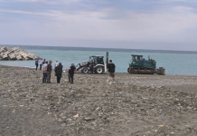 Akılalmaz olay: Kepçe, sahilde güneşlenen kadını ezip ölümüne sebep oldu