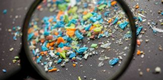 Araştırma: Her Hafta Bir Kredi Kartı Kadar Plastik Soluyoruz. Peki Bunlar Nereye Gidiyor?