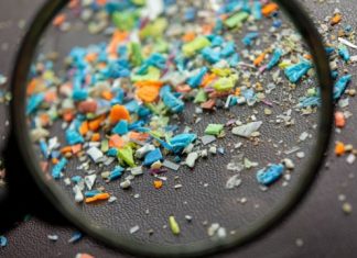 Araştırma: Her Hafta Bir Kredi Kartı Kadar Plastik Soluyoruz. Peki Bunlar Nereye Gidiyor?