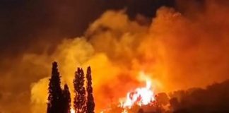 Orman yangınlarında son durum: Alevler İzmir’in Çeşme ilçesini sardı! 3 mahalle boşaltıldı