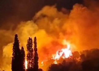 Orman yangınlarında son durum: Alevler İzmir’in Çeşme ilçesini sardı! 3 mahalle boşaltıldı