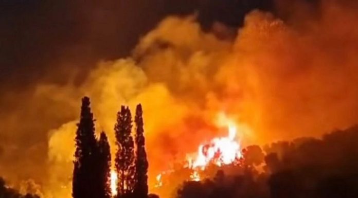 Orman yangınlarında son durum: Alevler İzmir’in Çeşme ilçesini sardı! 3 mahalle boşaltıldı