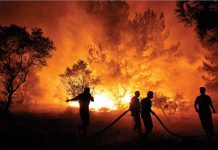 Her yanımız alev alev. 50 bin kişi tahliye edildi