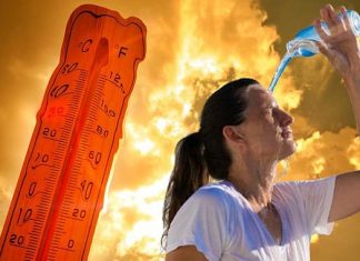🌡️50 derece. Türkiye tarihinin rekoru o ilçede kırıldı