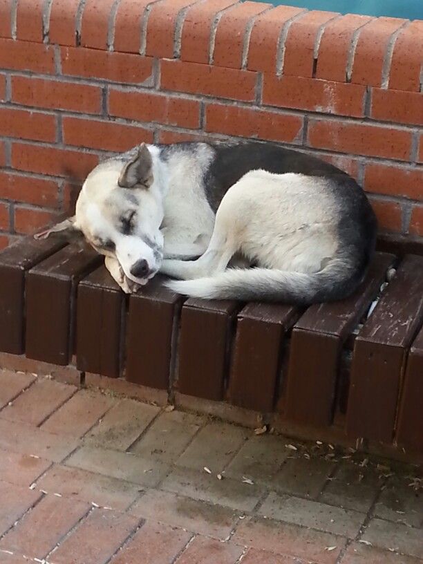 9399e17083a3b89dfc0d627a98480806