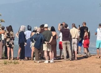 30 yılda bir çiçek açan bitki Antalya’da görüldü, ziyaretçiler akın etti