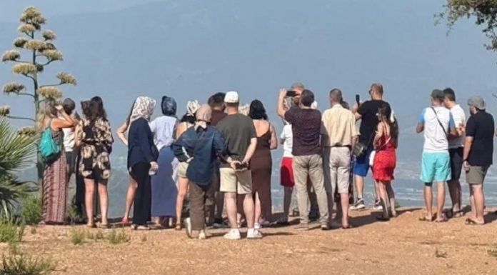 30 yılda bir çiçek açan bitki Antalya’da görüldü, ziyaretçiler akın etti