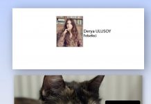 🎥Derya ULUSOY; Cezve’nin Katli ve BBC Soruşturması: İnternetteki Sadist Kedi İşkence Grupları