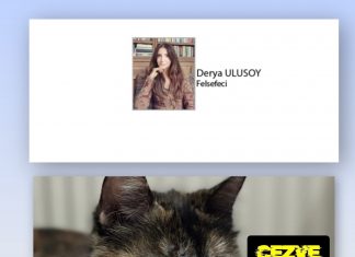 🎥Derya ULUSOY; Cezve’nin Katli ve BBC Soruşturması: İnternetteki Sadist Kedi İşkence Grupları