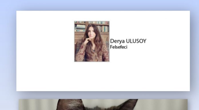 🎥Derya ULUSOY; Cezve’nin Katli ve BBC Soruşturması: İnternetteki Sadist Kedi İşkence Grupları