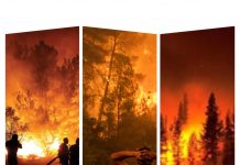 Uyarı: İklim Değişikliği Türkiye, Yunanistan ve Kıbrıs’taki Yangınları Yüzde 22 Daha Şiddetli Hale Getirdi