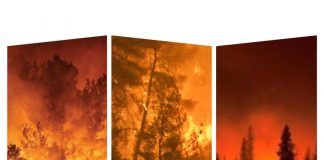 Uyarı: İklim Değişikliği Türkiye, Yunanistan ve Kıbrıs’taki Yangınları Yüzde 22 Daha Şiddetli Hale Getirdi