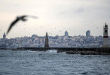 İstanbul’u fırtına vurdu! Seferler iptal edildi, tekne alabora oldu, ağaçlar devrildi, camlar patladı