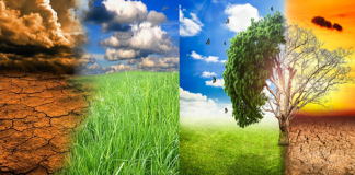 Cengiz ERDİL; TÜRKİYE YİNE TRENİ KAÇIRIYOR