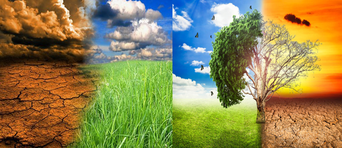 Cengiz ERDİL; TÜRKİYE YİNE TRENİ KAÇIRIYOR