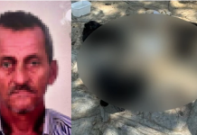 Katliam! 10 köpek, 5 kediyi çocuklara dağıttırdığı zehirli etle öldürmüş!