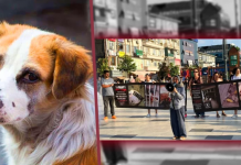 Yeter ki yaşasınlar. 300 gündür yaşam nöbetindeler