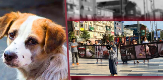 Yeter ki yaşasınlar. 300 gündür yaşam nöbetindeler