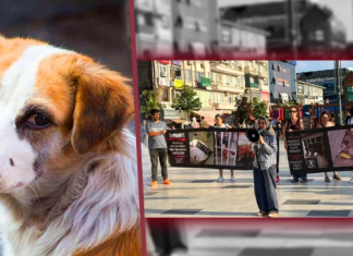 Yeter ki yaşasınlar. 300 gündür yaşam nöbetindeler