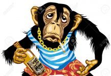 Araştırma: Şempanzeler “günde bir biraya denk” alkol tüketiyor.