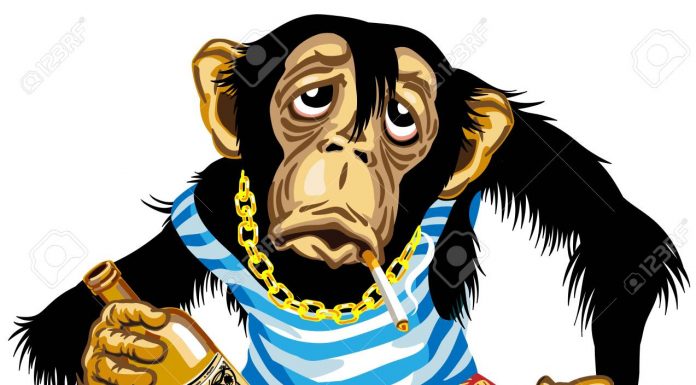 Araştırma: Şempanzeler “günde bir biraya denk” alkol tüketiyor.