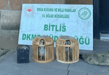 Bitlis’te kaçak keklik avına dev ceza!