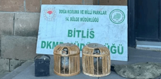 Bitlis’te kaçak keklik avına dev ceza!