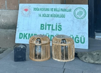Bitlis’te kaçak keklik avına dev ceza!