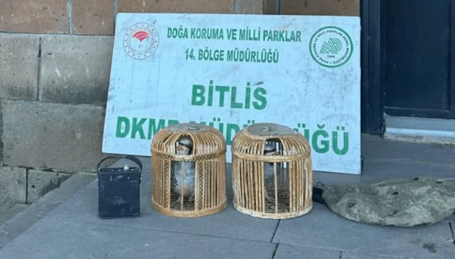 Bitlis'te kaçak keklik avına dev ceza!
