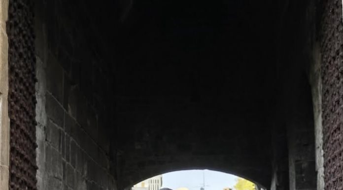 Muharrem ERBEY; Yazar/ Roman, Öykü, Makale, Deneme, Şiir; İnsan Hakları Savunucusu/Avukat