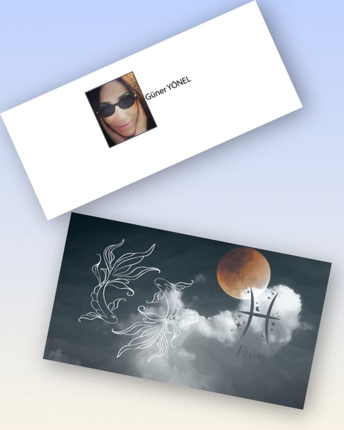 InShot_20250907_133325347