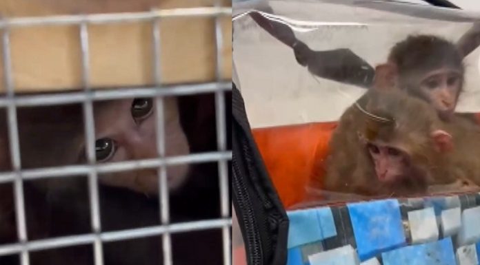 🎥‘Ölüm Kutusu’nda binlerce kilometre yolculuk. Korkudan birbirlerine sarıldılar