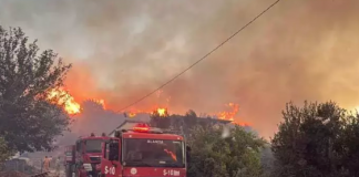 Alanya, alev alev. Muğla Köyceğiz’de yangın yerleşim yerlerine ulaştı